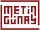 Yönetmen Metin Günay Logo